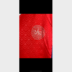 Danmark 1990/92 - XL (fitter L) - Match Worn: Torben Piechnik