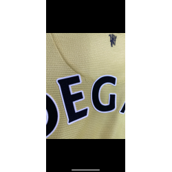 Manchester United 2013/14 - L