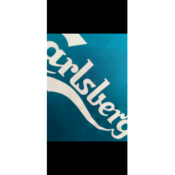 Liverpool 2008/09 - XL