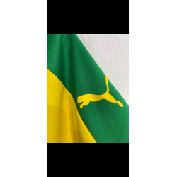 West Bromwich Albion 2018/19 - XL