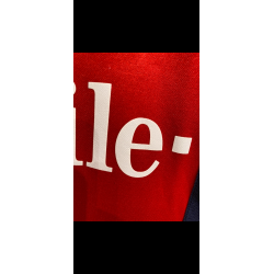 West Bromwich Albion 2004/06 - L