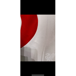 Liverpool 2007/08 - L