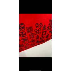 Asante Kotoko 2020/21 - L