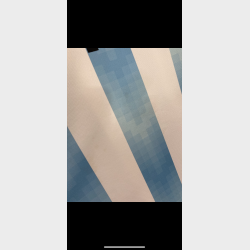 Argentina 2018/19 - L