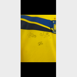 Br�ndby 2013/14 - L