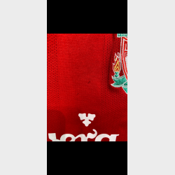 Liverpool 2008/10 - L