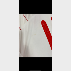 Danmark 2008/10 - L (player issue)
