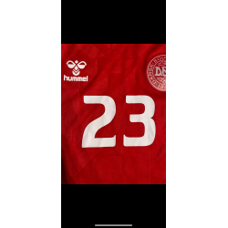 Danmark 2023/24 - M