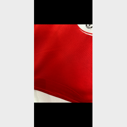 Manchester United 2011/12 - L