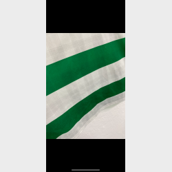 Celtic 2018/19 - L