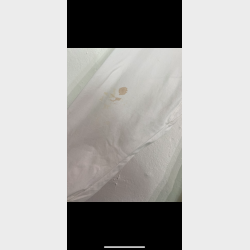 FC K�benhavn 2002/03 - XL