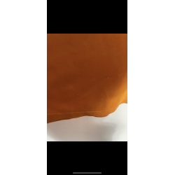 Wolverhampton 2014/15 - XL