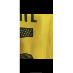 Borussia Dortmund 2014/15 - S