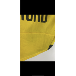 Borussia Dortmund 2014/15 - S