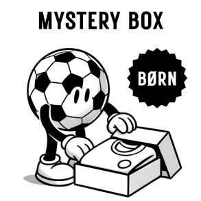 Mystery Box - Brn
