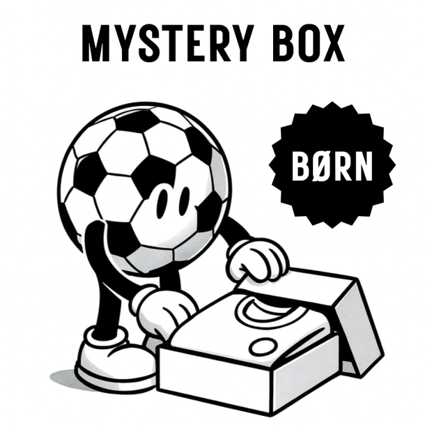 Mystery Box - Brn